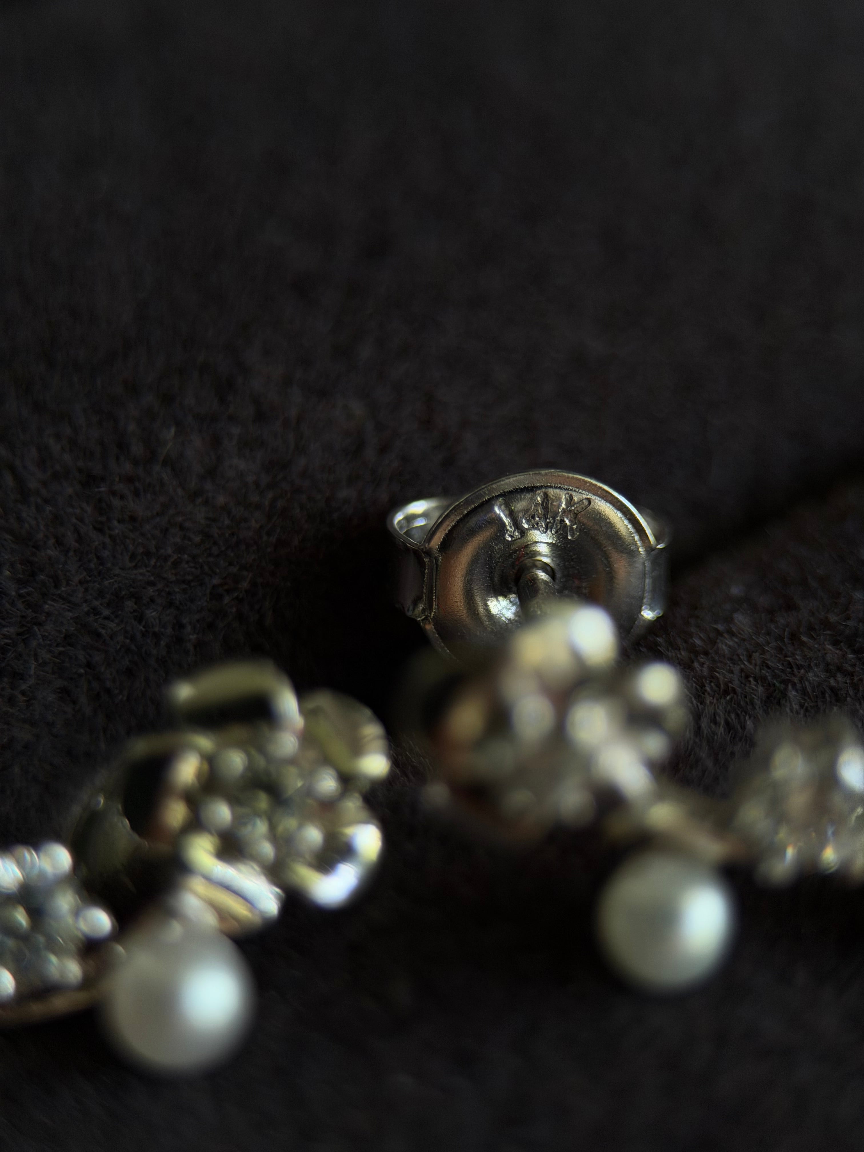 Aretes camelia