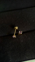 Broqueles zirconia morada