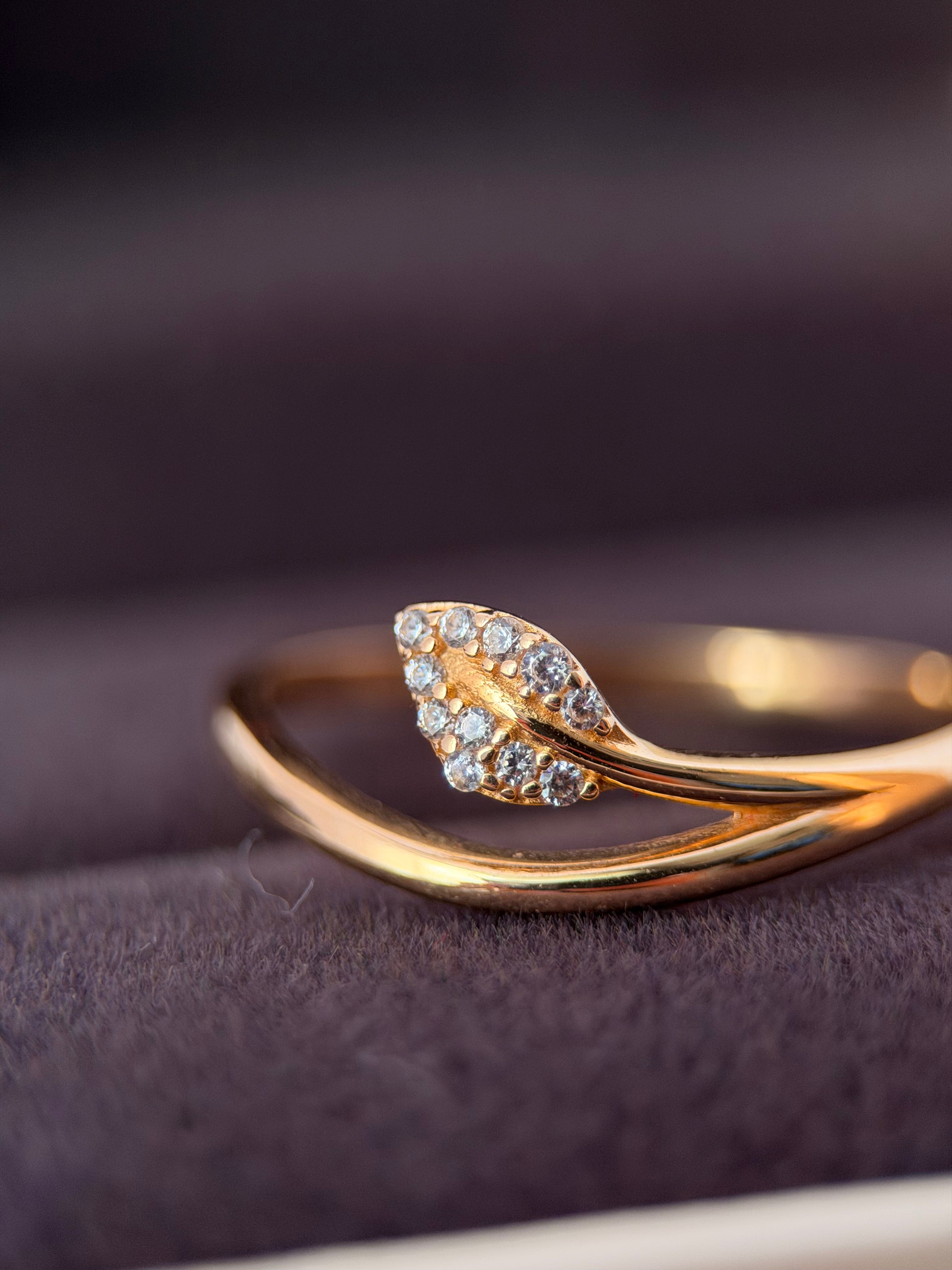 Anillo natura