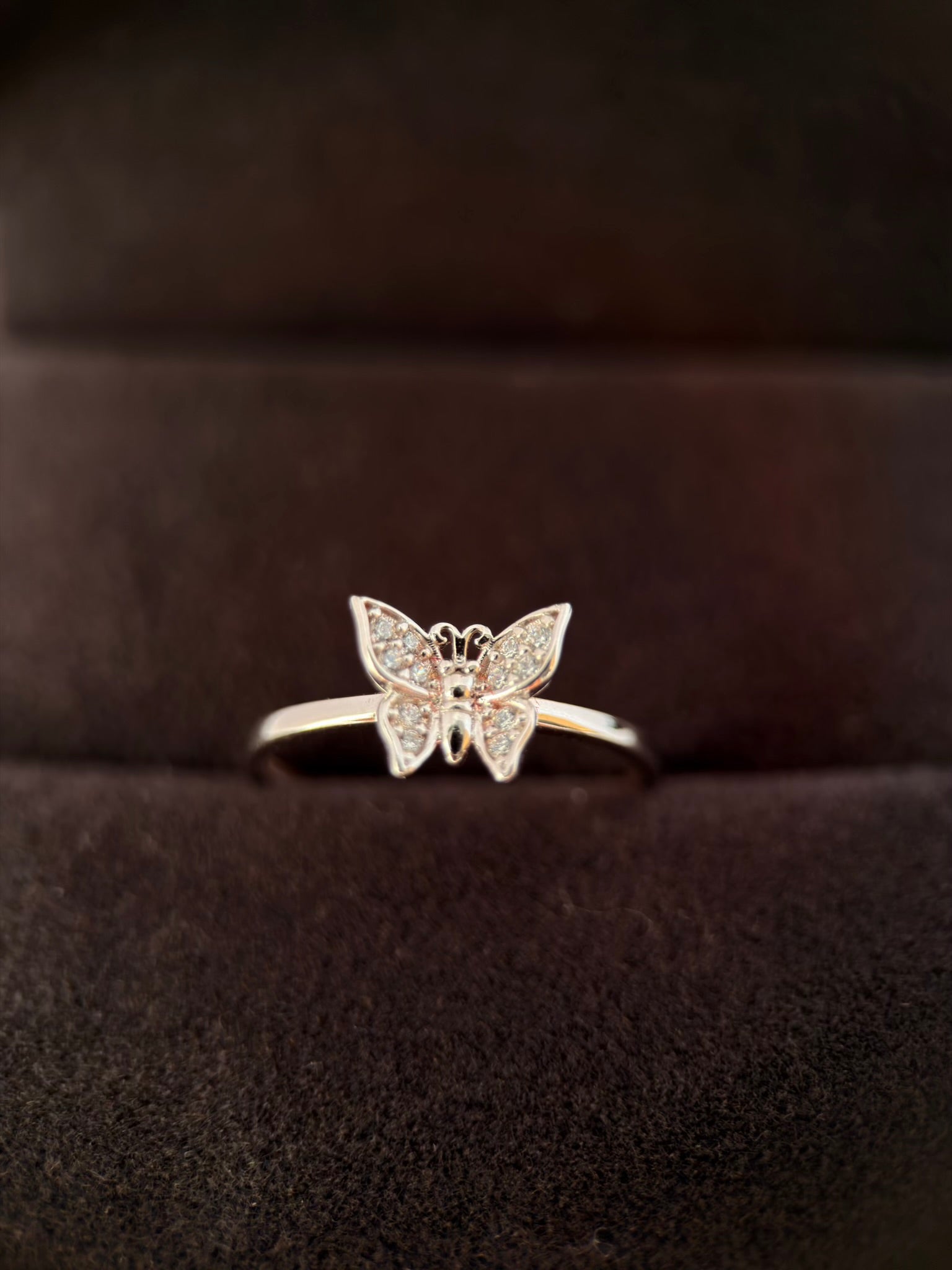 Anillo mariposa