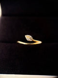 Anillo natura