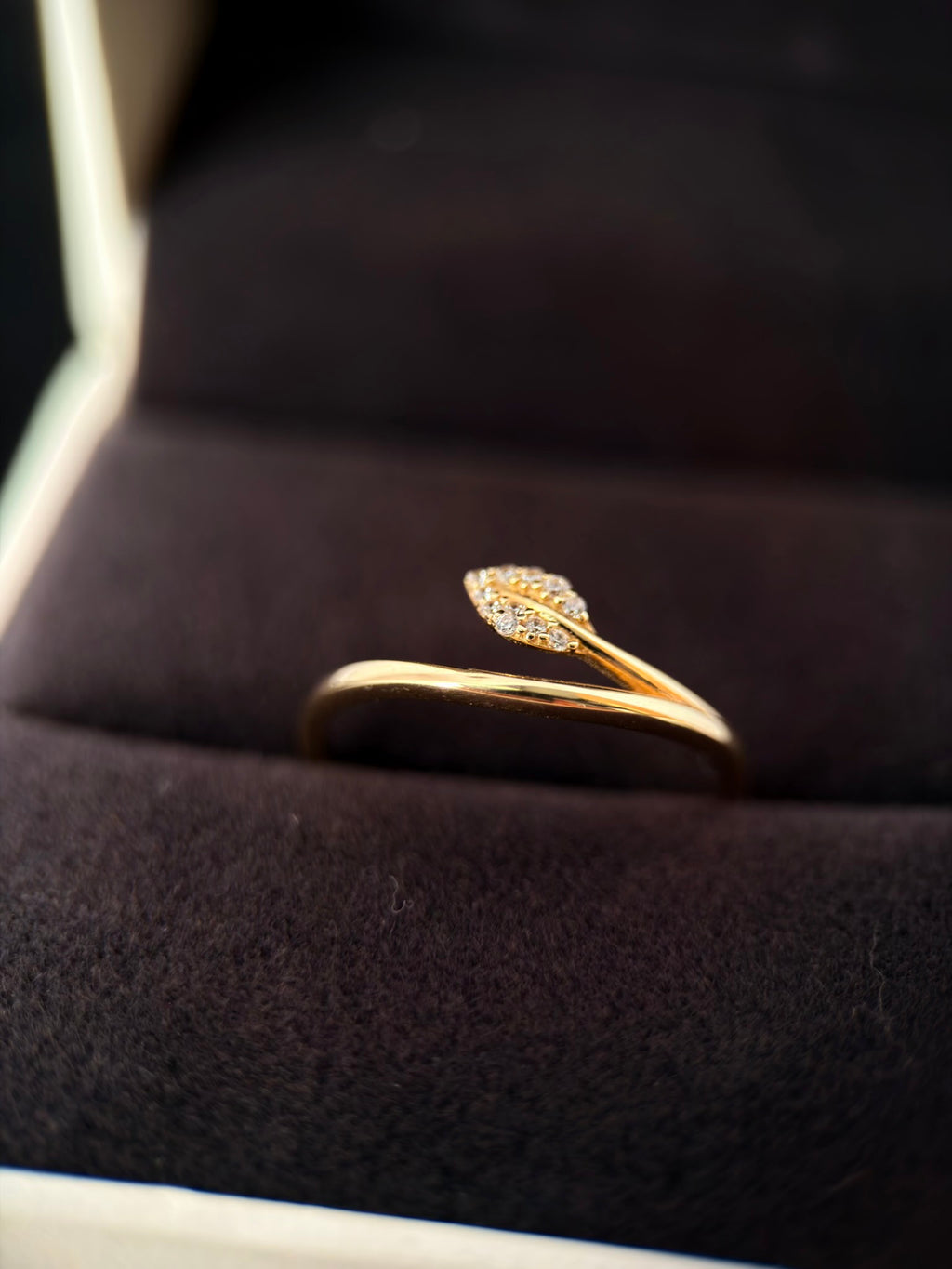 Anillo natura