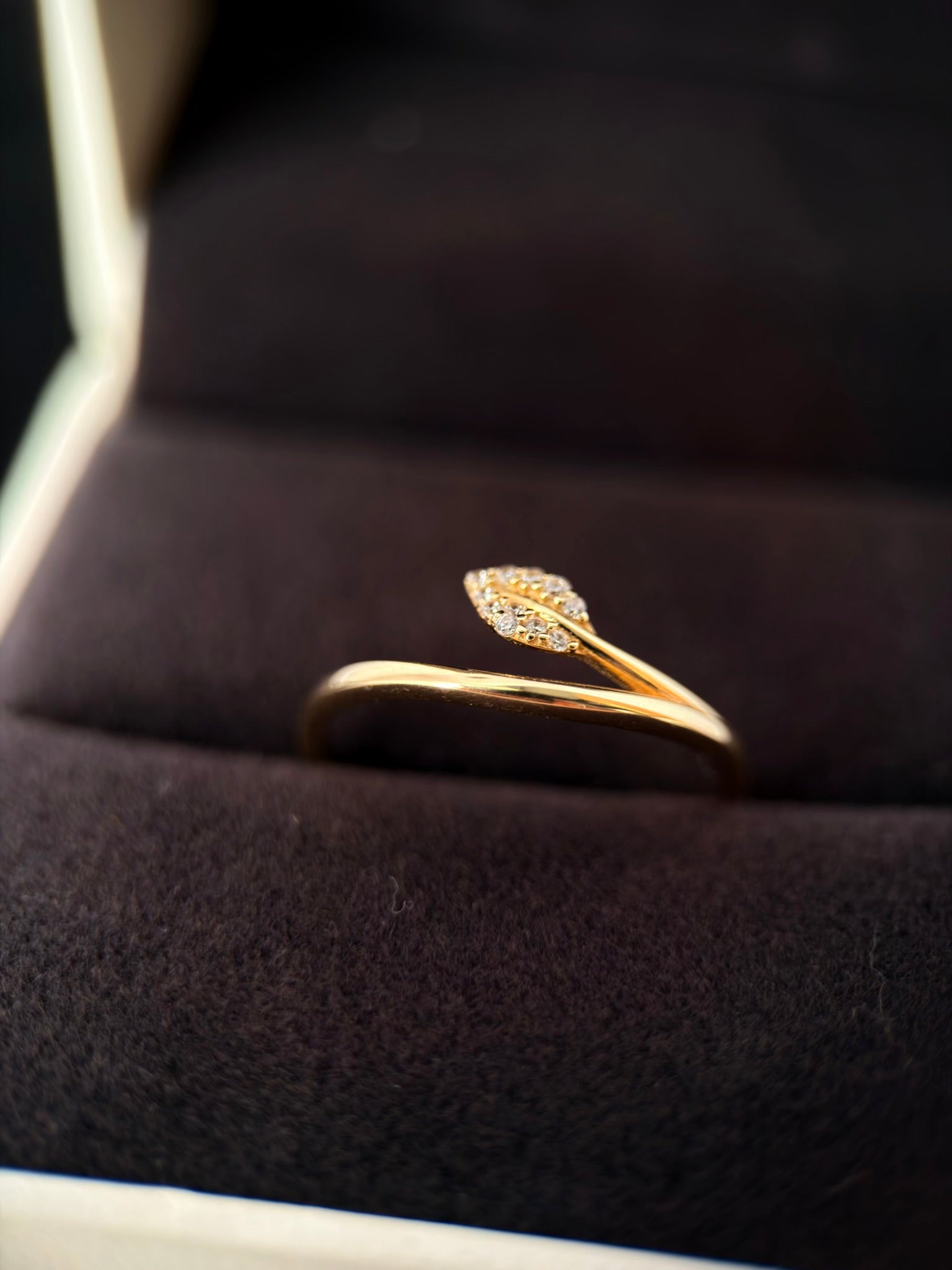 Anillo natura