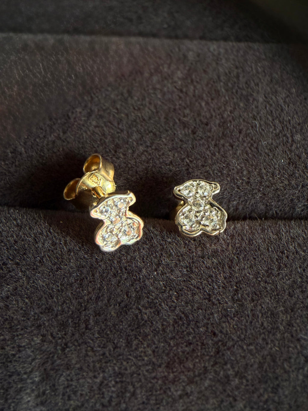 Aretes teddy
