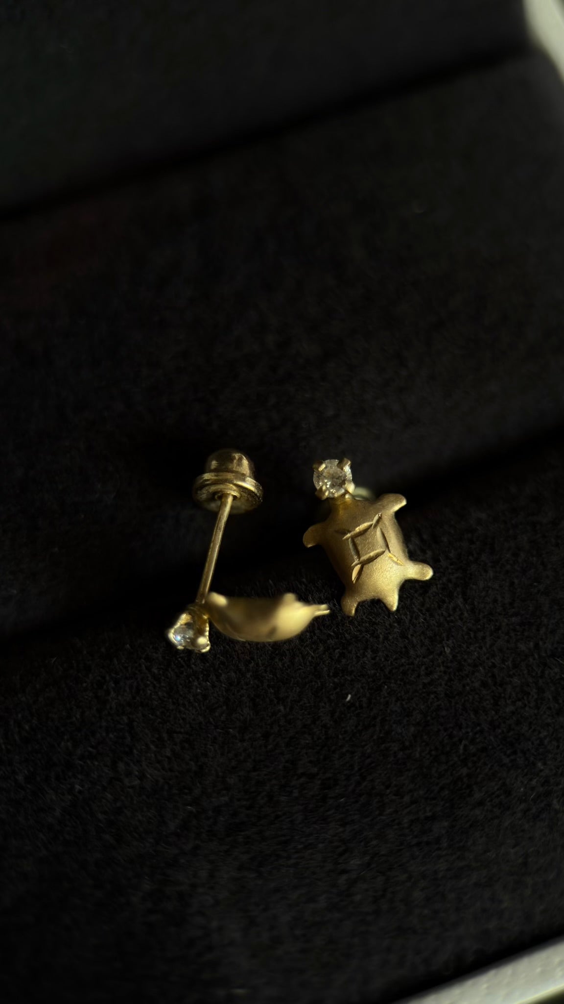 Broqueles tortuga con zirconia