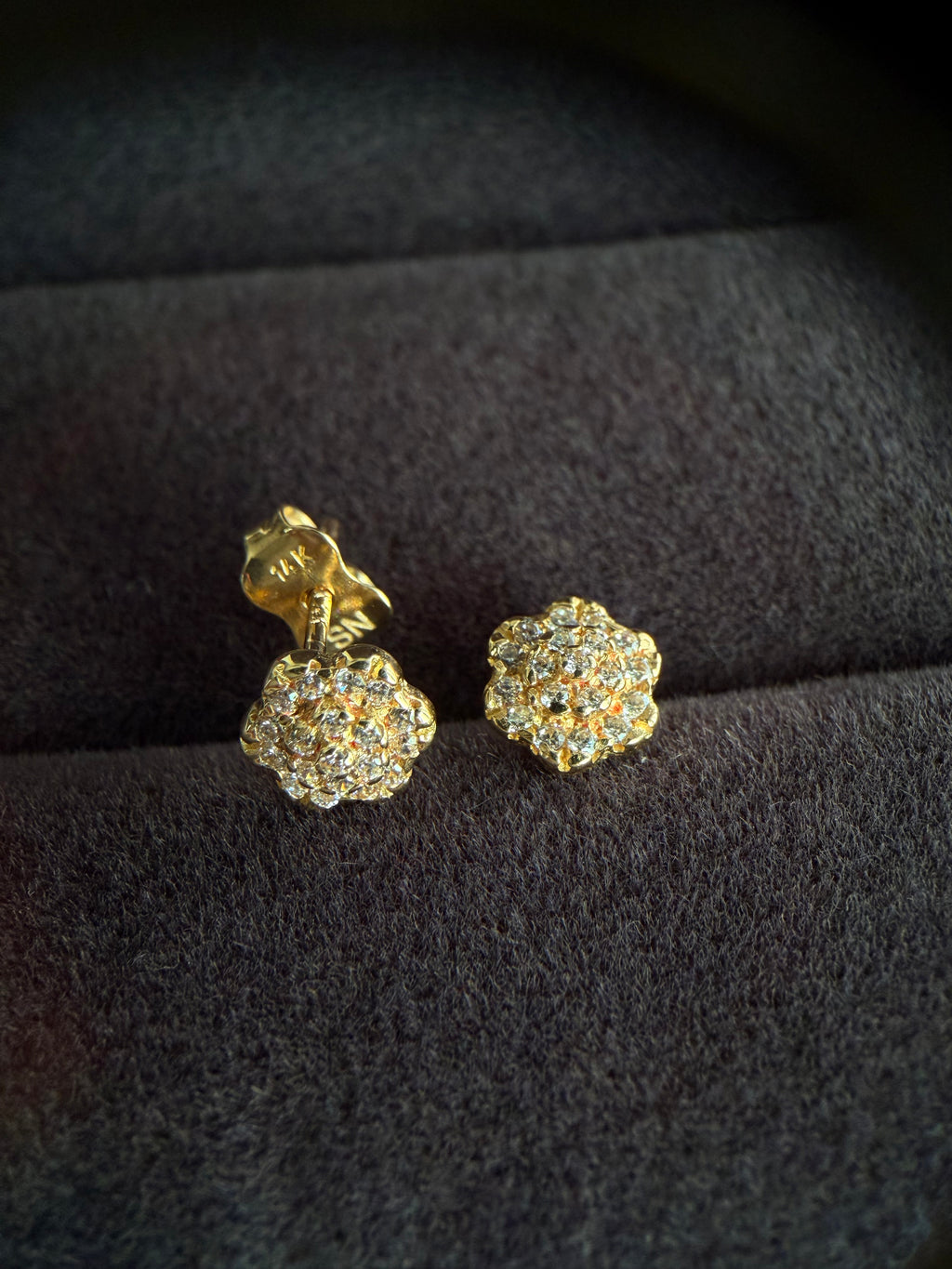 Aretes bloom