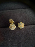Aretes bloom